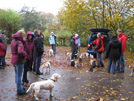 Pause an der Paschenburg. Die Beagles sind noch gar nicht m&uuml;de.